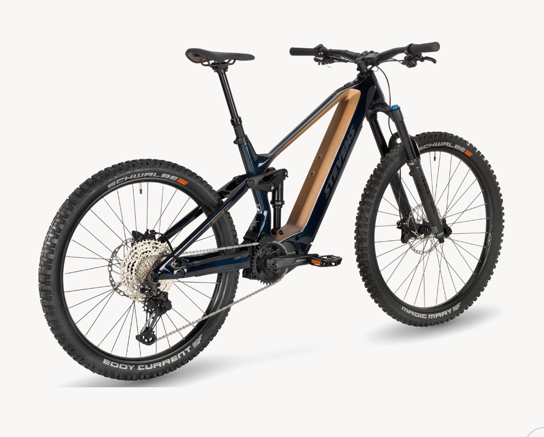 STEVENS E-Inception am 8.7.2 GTF - Ideal Für Abenteuer